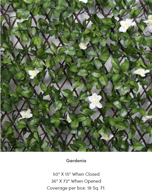 Gardenia.jpg