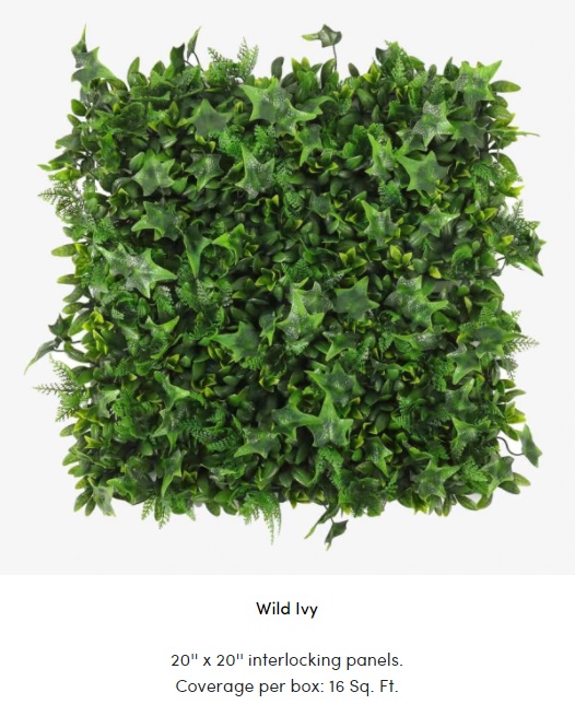 Wild Ivy.jpg